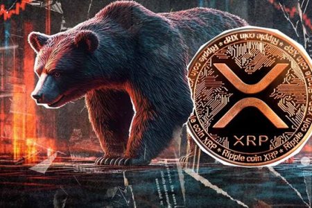چرا ریپل را باید در بازار نزولی هم بخریم؟