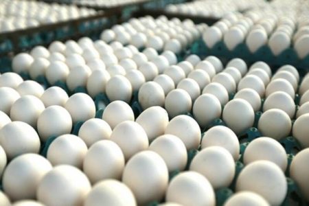 قیمت تخم مرغ کیلویی ۳۷ هزارتومان شد