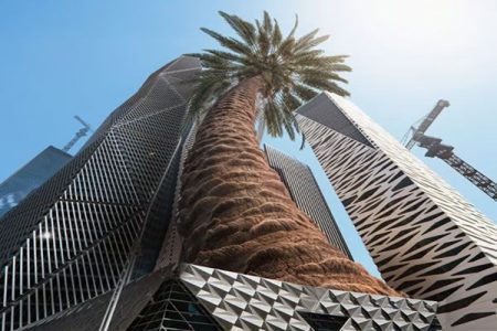 اکونومیست بررسی کرد؛ شاهزاده و شترهای سفید