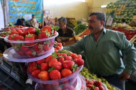 قیمت میوه در میادین تره‌بار؛ نوبرانه‌ها ۳۰ درصد ارزان شدند