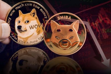 خبر بد از میم‌کوین‌ها؛ قیمت دوج‌کوین و شیبا در مسیر سقوط