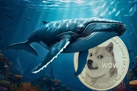 هجوم بی‌سابقه نهنگ‌ها به خرید دوج کوین؛ ماجرا چیست؟