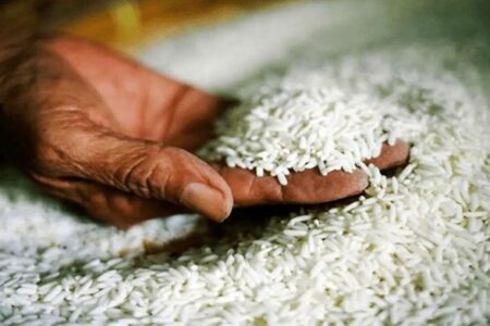 چه کسی مسئول افزایش شدید قیمت برنج و گوشت است؟