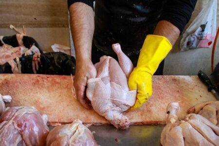 قیمت مرغ از ۲ هفته آینده ۱۲۰ هزار تومان می‌شود