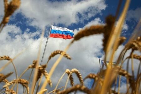 گندم روسیه در راه ایران؛ آغاز واردات با تعرفه صفر از اوراسیا