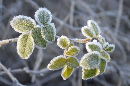 هواشناسی ۱۳ مهر؛ کاهش ۱۰درجه‌ای دما در راه این ۶ استان