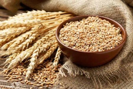 شورای قمیت‌گذاری تصویب کرد؛ قیمت گندم کیلویی ۲۹۵۰۰ تومان شد