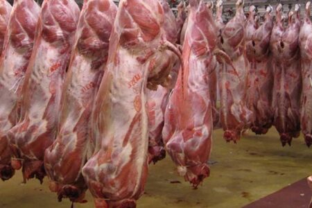 عرضه گوشت گوساله تنظیم‌بازار با قیمت زیر ۶۰۰ هزار تومان