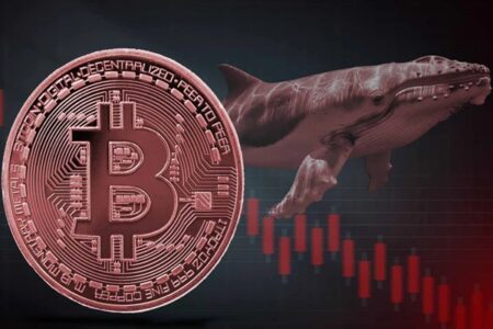 حباب بعدی در راه است؟؛ ترس بازار از سقوط بیت‌کوین