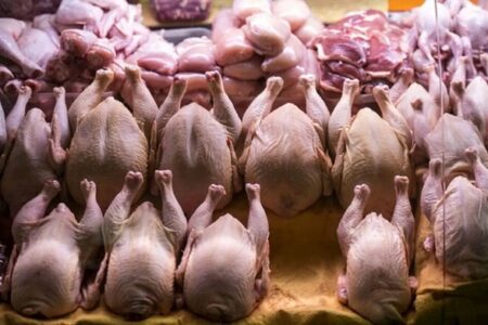 کاهش اندک قیمت‌ها در بازار؛ سینه و ران مرغ کیلویی چند شد؟