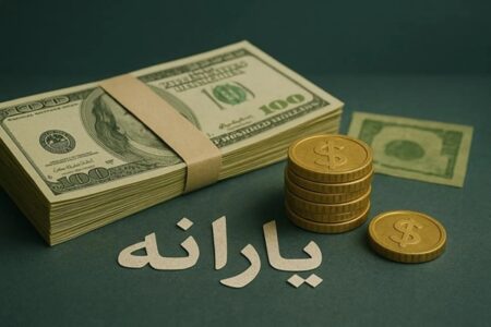 سقوط ۹۱ درصدی ارزش یارانه نقدی؛ از ۴۳ دلار به ۳.۵ دلار!