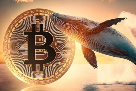 بیت‌کوین در لبه صعود: پوزیشن ۴۰ برابری جیمز وین بازار را لرزاند