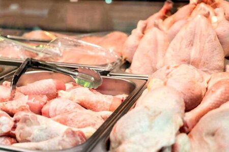 بازار مرغ کساد شد؛ قیمت ارزان شد اما مشتری خرید نمی‌کند