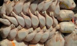 امروز (۹ فروردین)؛ قیمت روز مرغ گرم کیلویی چند شد؟