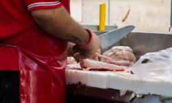 قیمت روز مرغ در بازار؛ فیله کیلویی ۶۵۰ هزارتومان شد