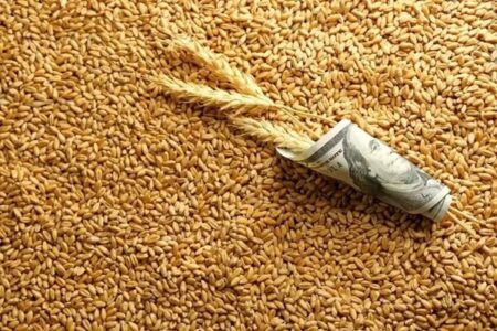 ارز واردات گندم به ازای هر دلار چند تومان شد؟