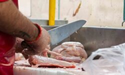 قیمت جدید گوشت مرغ؛ فیله در صدر گرانی+ جدول