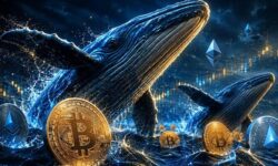 نهنگ‌ها ۱۴۹ میلیون دلار روی بیت‌کوین و اتریوم شرط بستند