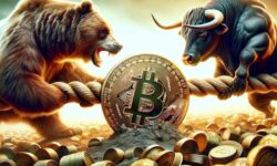 بیت‌کوین وارد بازار خرسی شد؛ زمان جهش فرا رسیده است؟