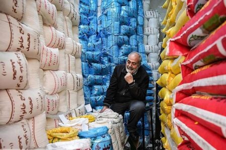 شوک به بازار برنج؛ لغو ممنوعیت واردات در فصل برداشت