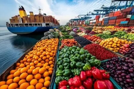 خبر مهم برای کشاورزان؛ صادرات این ۱۵ محصول از امروز آزاد شد