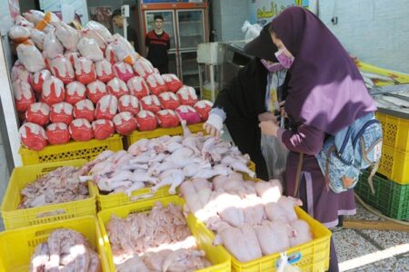 زنگ خطر برای بازار مرغ؛ احتمال جهش قیمت جدی شد
