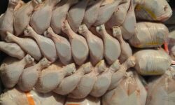 قیمت مرغ گرم ۳۳۰ هزار تومان شد؛ گرانی در راه است؟