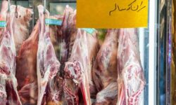 گوشت گرم و منجمد در راه بازار؛ واردات آزاد شد