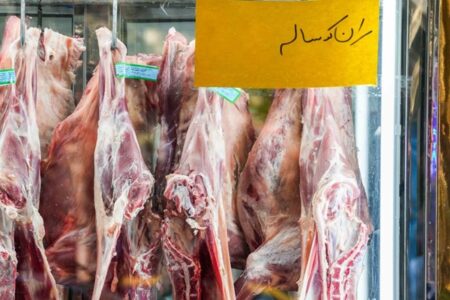 گوشت گرم و منجمد در راه بازار؛ واردات آزاد شد