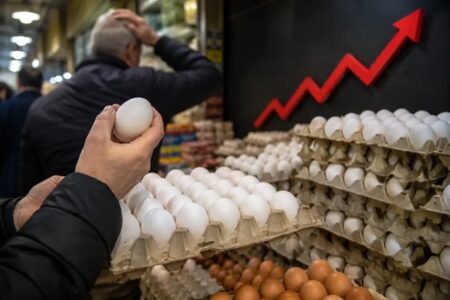 شوک به بازار تخم‌مرغ؛ قیمت هر شانه ۷۰۰ هزار تومان شد